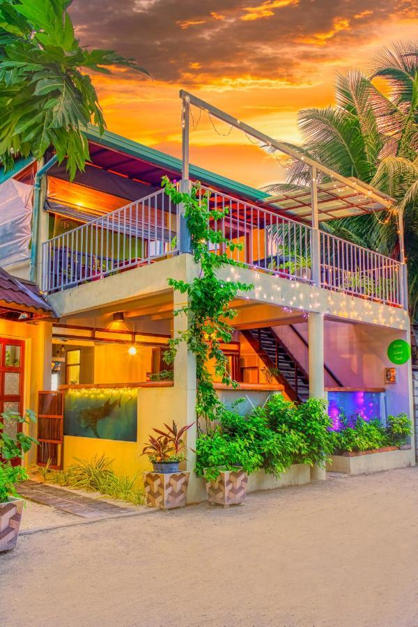 Green Leaf Guest House - Omadhoo Zewnętrze zdjęcie